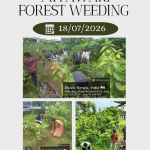 Miyawaki Forest Weeding